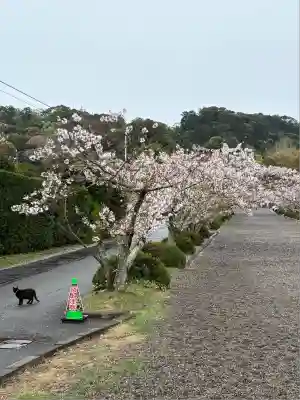 安房神社(千葉県)