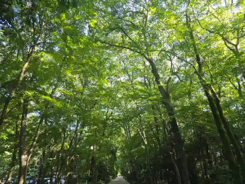 河合神社（鴨川合坐小社宅神社）(京都府)