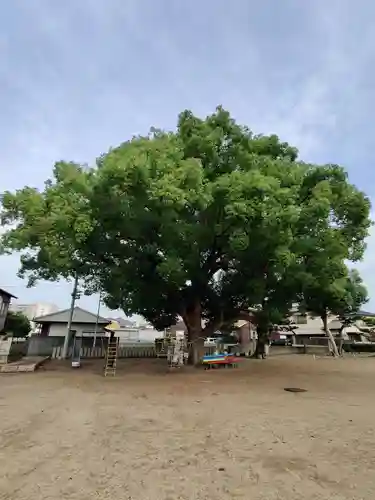 潮止神社(香川県)