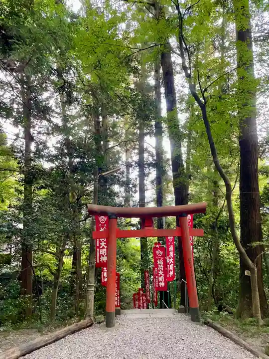 宝登山神社(埼玉県)