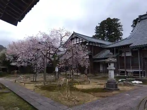 城福寺(福井県)