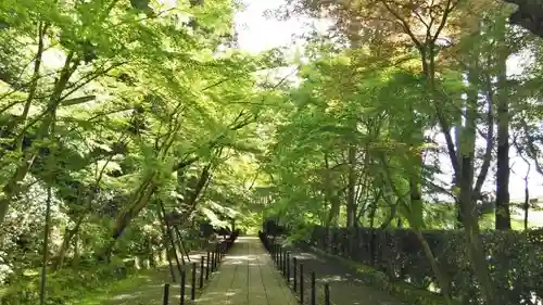 光明寺（粟生光明寺）のその他建物