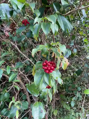手白神社(愛知県)