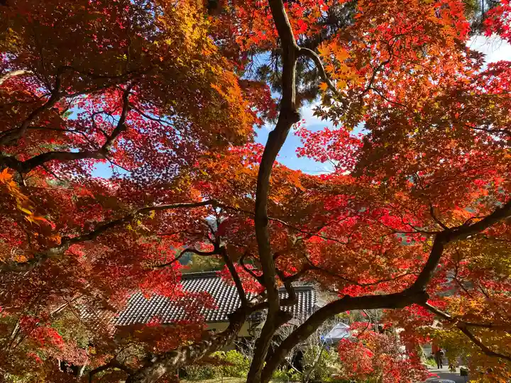 大国寺(兵庫県)