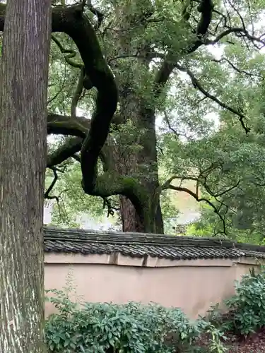 花園天皇　十樂院上陵の自然