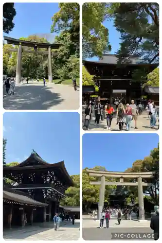 明治神宮(東京都)