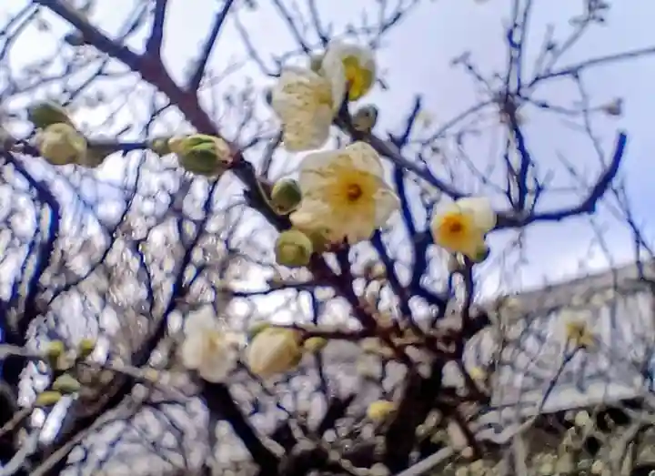 片埜神社(大阪府)