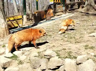 御金稲荷神社(宮城県)
