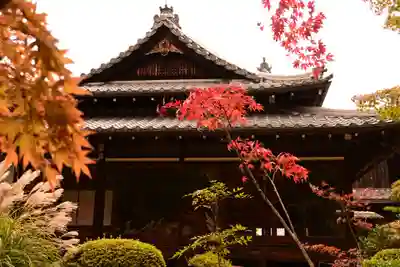 天授庵(京都府)