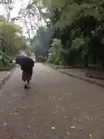 賀茂御祖神社(下鴨神社)のその他建物