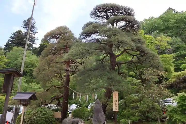 宝登山神社(埼玉県)