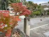 伊勢の国 四天王寺の自然