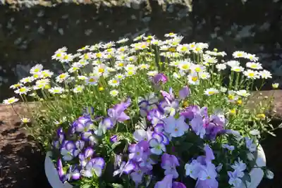 熊野福藏神社の手水舎