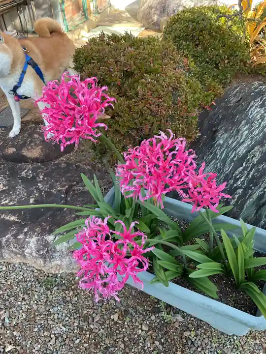 宗栄寺(愛知県)