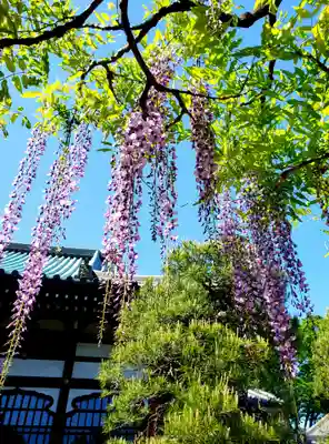 愛染院(東京都)