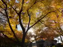 本土寺(千葉県)