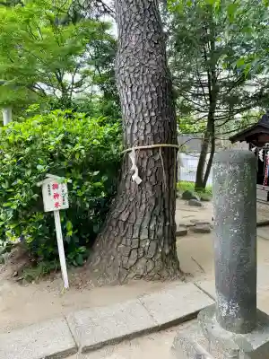 松先稲荷神社(千葉県)