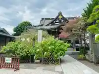 妙隆寺(神奈川県)