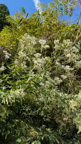 江文神社(京都府)