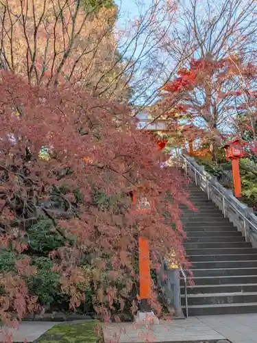 穴八幡宮(東京都)