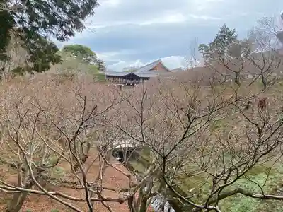 東福禅寺(東福寺)(京都府)