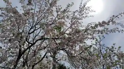 祐正寺(京都府)