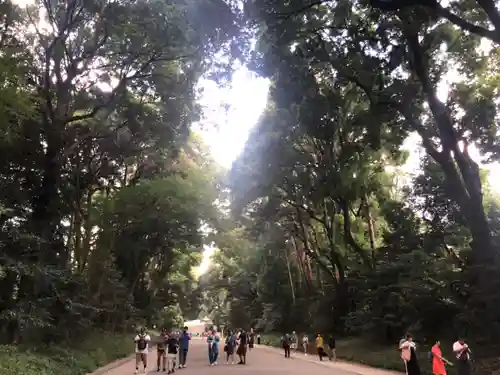 明治神宮(東京都)