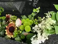 新琴似神社の手水舎