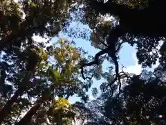 水神社の自然