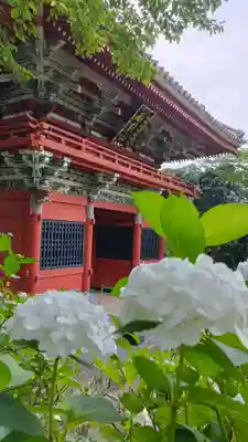 楽法寺(雨引観音)(茨城県)