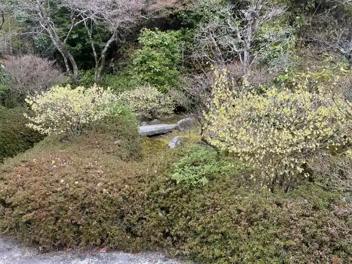 三室戸寺(京都府)