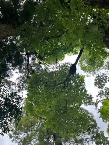 比々多神社(神奈川県)