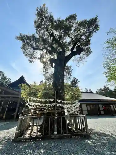 井伊谷宮(静岡県)