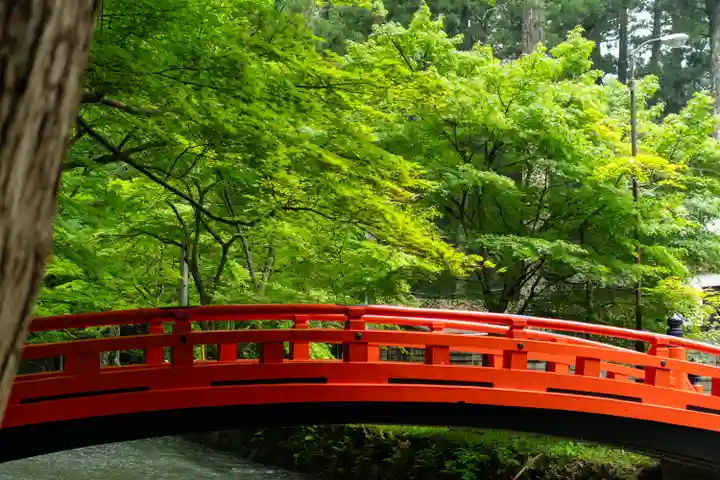 小國神社(静岡県)