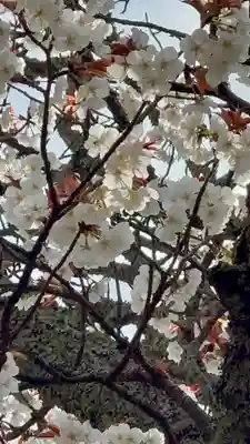 鷺森神社(京都府)