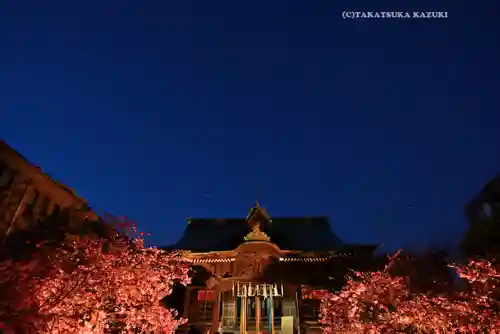 桜神宮(東京都)
