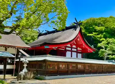 宗像大社の本殿・本堂