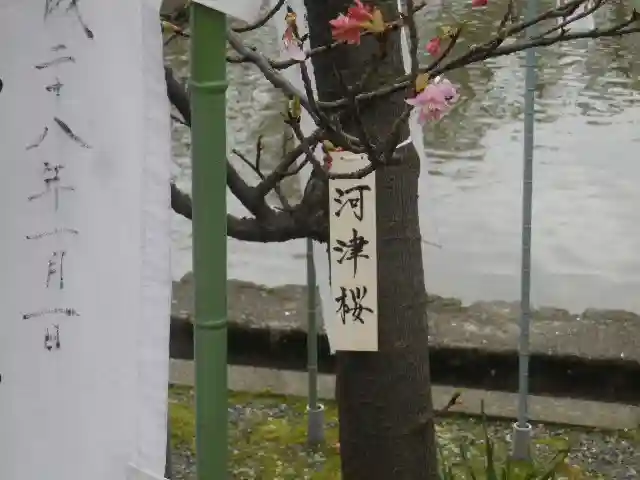 旗上弁財天社の自然