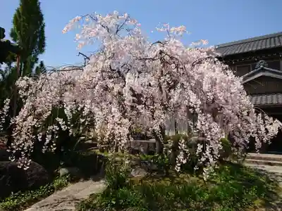 明星院(愛知県)