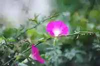 浄土寺(兵庫県)