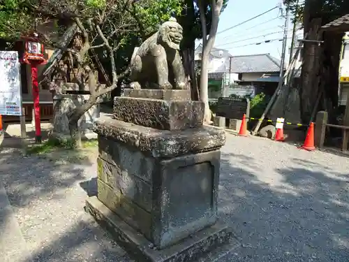 龍ケ崎八坂神社の狛犬