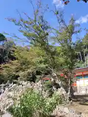 大原野神社(京都府)