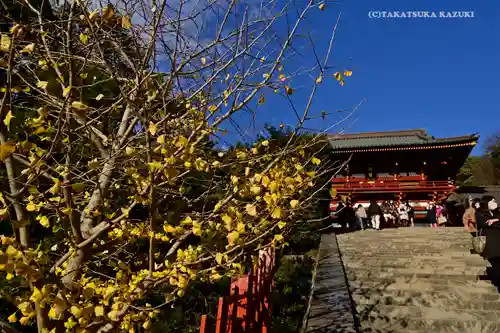 鶴岡八幡宮のその他建物
