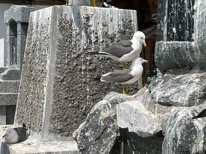 蕪嶋神社(青森県)