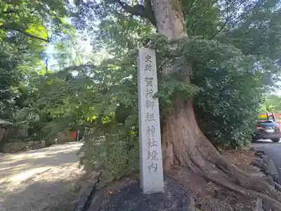 賀茂御祖神社（下鴨神社）(京都府)
