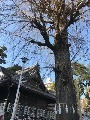 長濱神社(大分県)