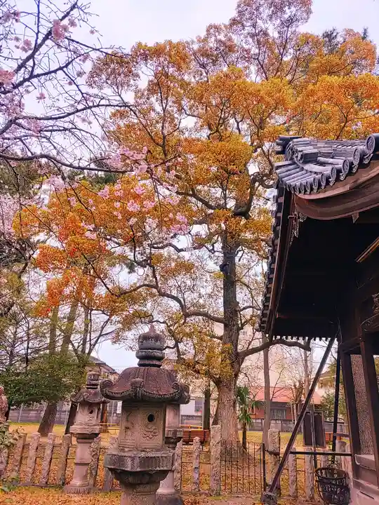 神明社(馬引)の自然