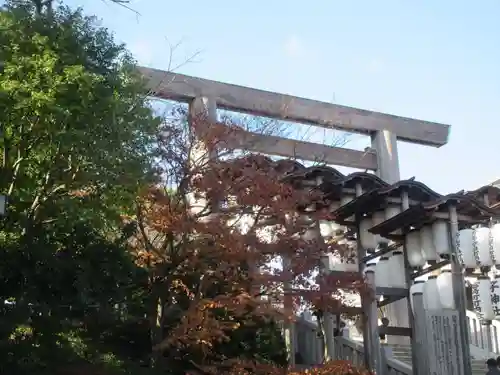 伊勢山皇大神宮の鳥居