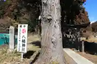 八幡神社の自然