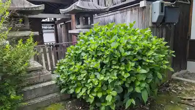 下御霊神社(京都府)